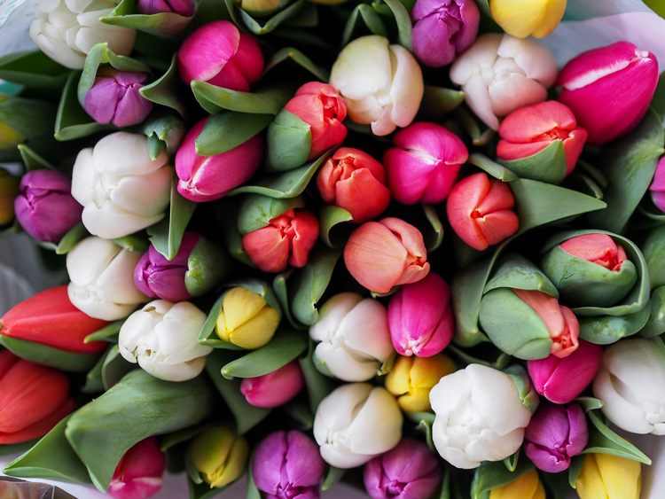 Akron/Canton Easter Events